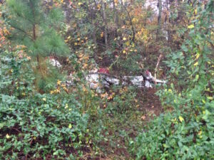 The plane landed in a narrow strip of woods surrounded on all sides by mobile homes (Photo: Baldwin Police)