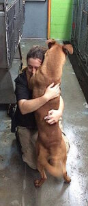 A final hug and wag of the tail as Madi says goodbye to Shadow.