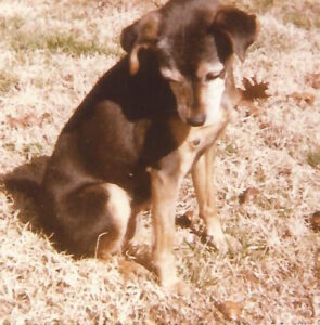 bitsy
