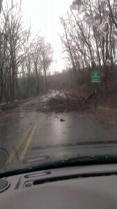 A toppled tree blocked one lane of traffic on West Glade Creek Road early Wednesday. (PHOTO/Chelsea Butler-Blackburn)