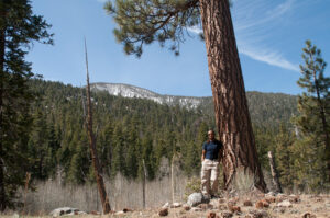 in the California mountains...