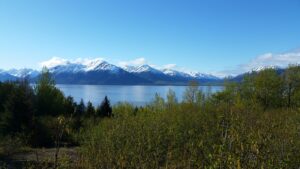 Photo by Caleb Gaines: Turnagin Arm Trail, AK