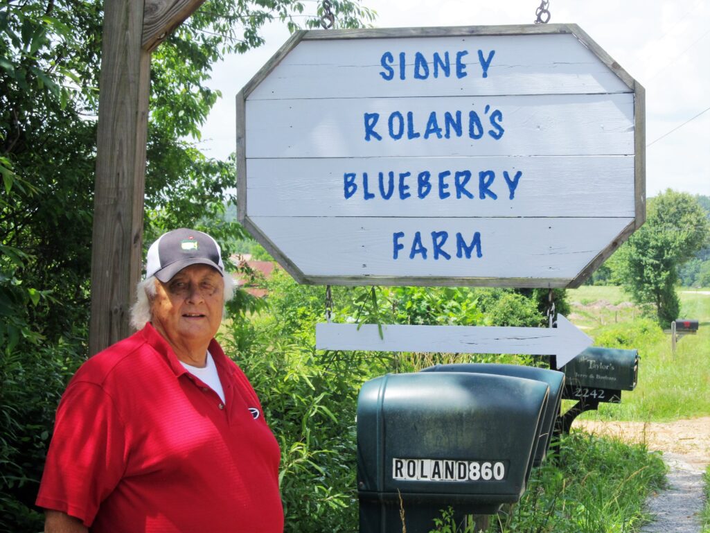 big-sid-blueberries