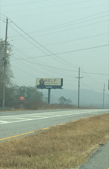 Along Highway 441 in Rabun County, Ga, November 11, 2016. (USDA Forest Service/Derik Breedlove)