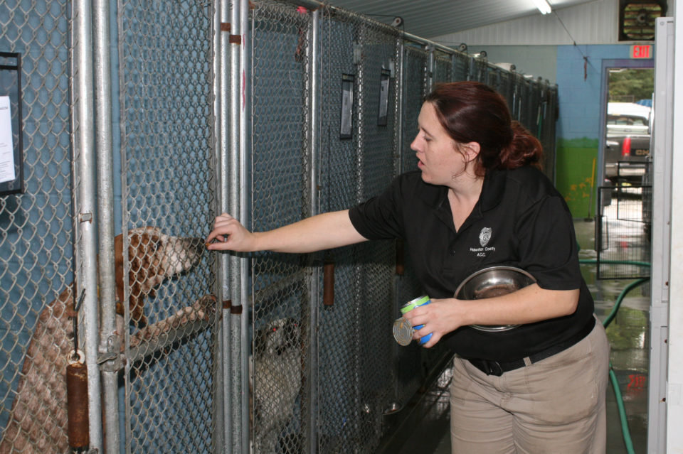 living-animal shelter