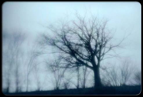 faith-depression trees