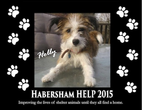 NowHab Example Photos (dragged)1