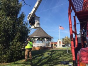 Skinner and Terebecki spent several hours removing lights from Clarkesville's Christmas tree.