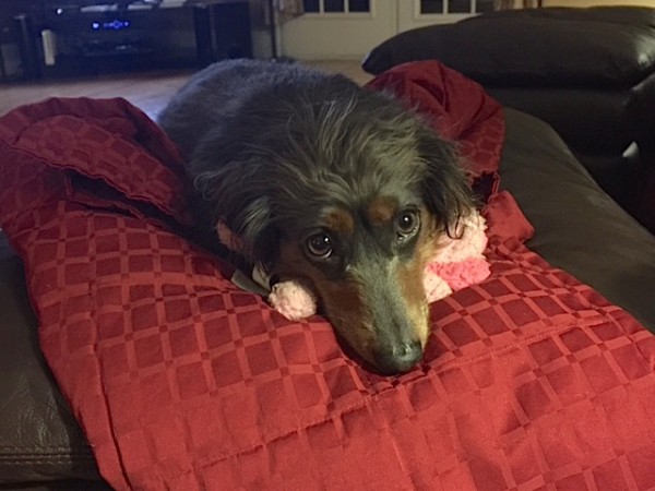 life in motion-Heidi Watson