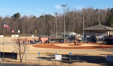 Little League observation 2015