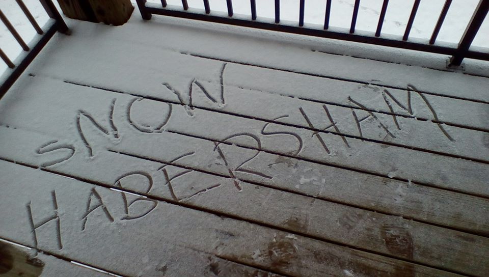 sNOW Habersham-feb 24, 2015