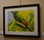 Fine Arts take center stage at HCHS