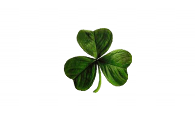 shamrock