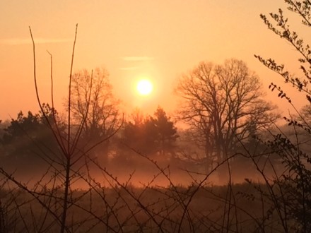 weather-hot, sunny pix