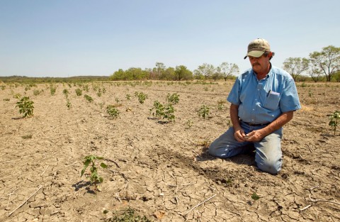 Texas-Drought-image-2