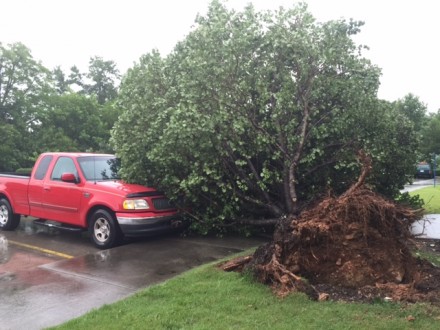 news-microburst in clarkesville