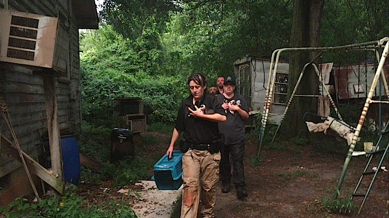 news-animal owners cited for hoarding