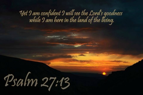 psalm 2713