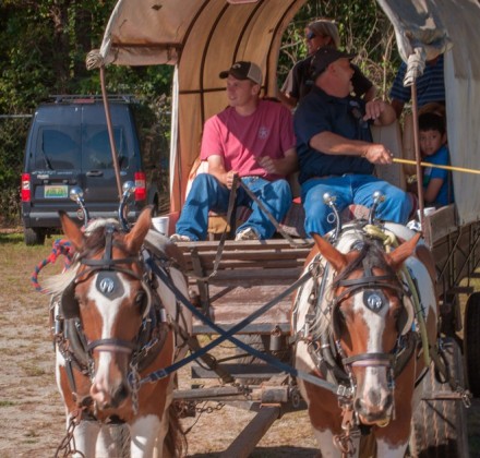 Kids Farm and Fun Day at the Fair