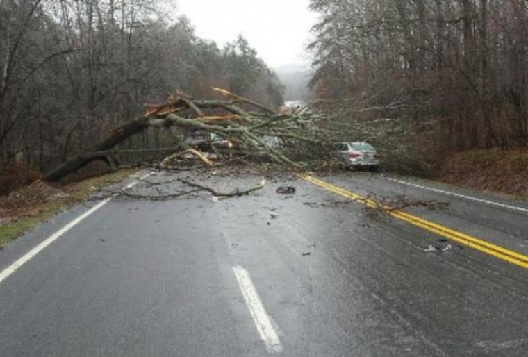 tree falls near cleveland winter storm 2016