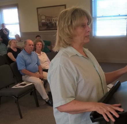 City council lake story copy 2