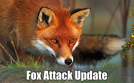 fox.001 copy