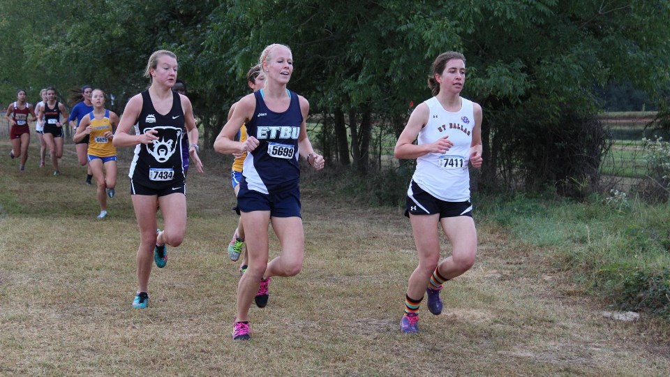 30015134286_639330aaa0_k