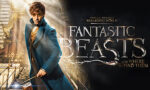 Fantastic Beasts and Where to Find Them