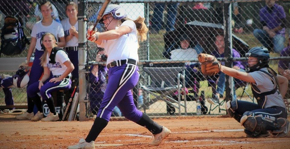 laken-chambers-2015-batting