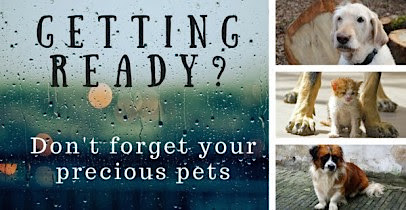 hurricane preps for pets