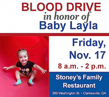 In Honor of - Baby Layla Flyer