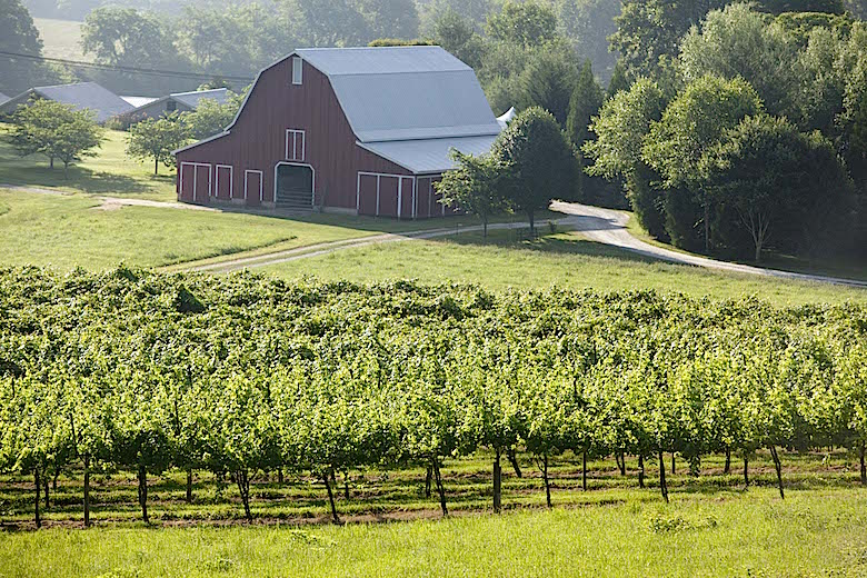 Tiger Mountain Winery|