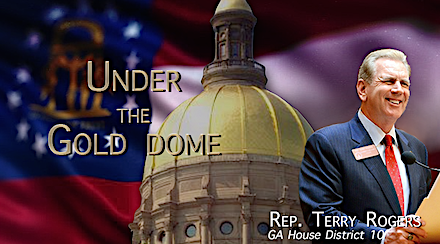 Rep. Terry Rogers Under the Gold Dome