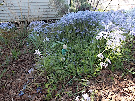 Mauldin House Garden