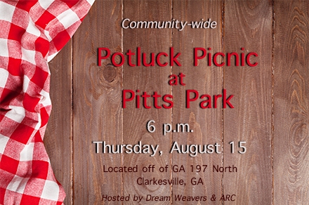 Potluck Picnic at Pitts Park