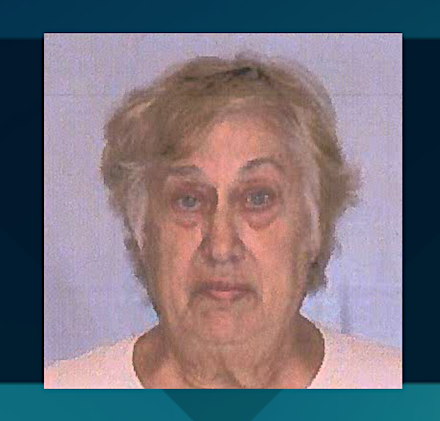 Mary Ann Lee mugshot