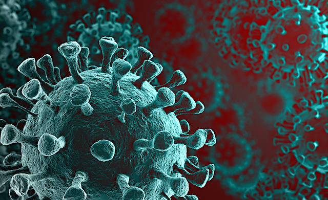 Coronavirus 2019-nCov novel coronavirus concept resposible for asian flu outbreak and coronaviruses influenza as dangerous flu strain cases as a pandemic. Microscope virus close up. 3d rendering.