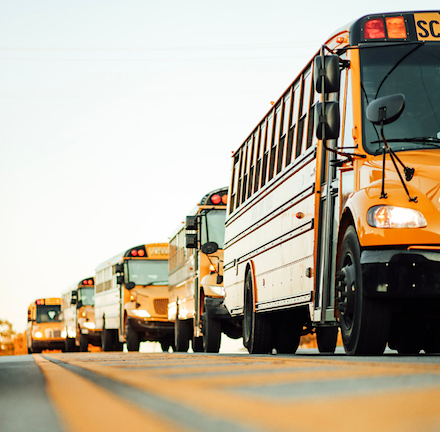 school buses