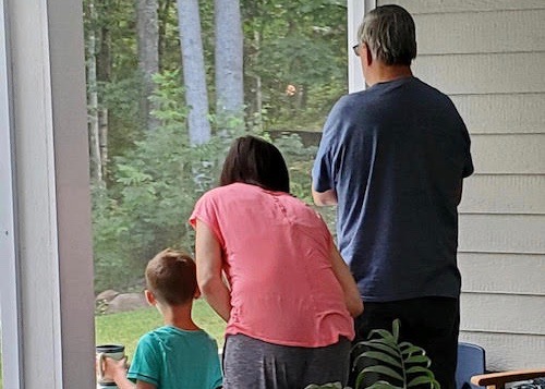 family bird watching