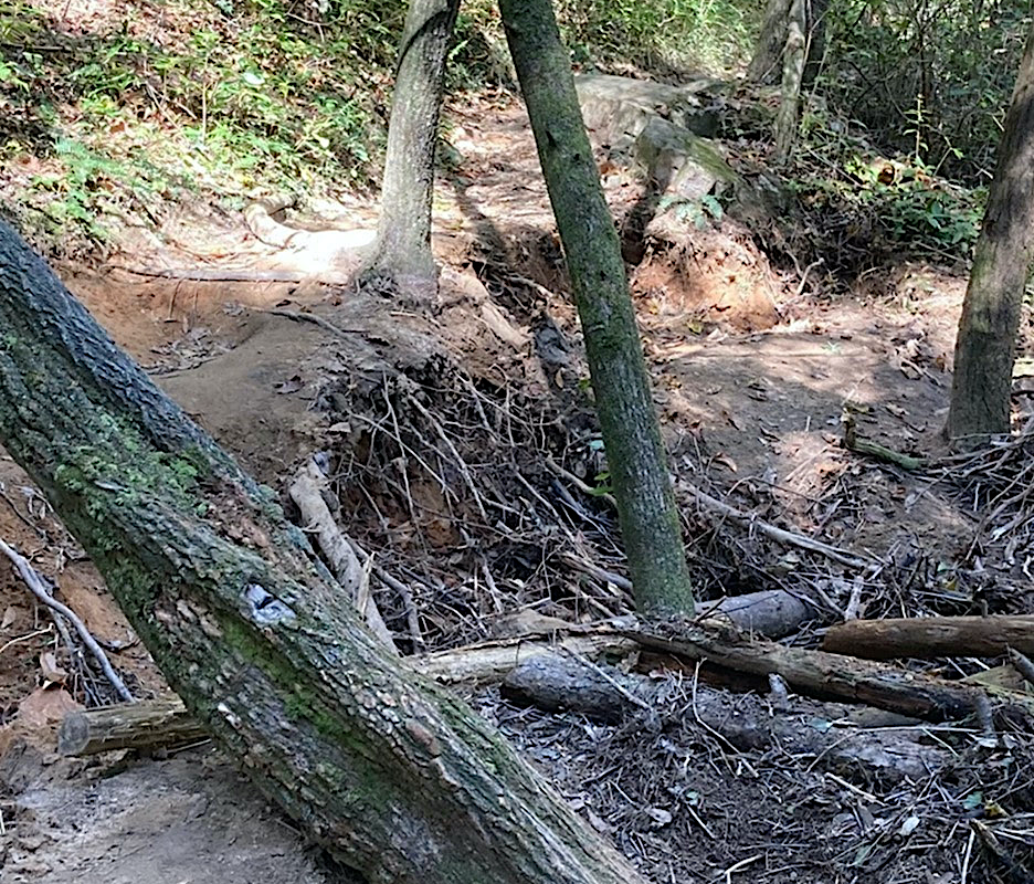 Delta damage on Panther Creek Trail copy