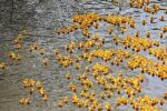 Great Helen Duck Race set for Oct. 24