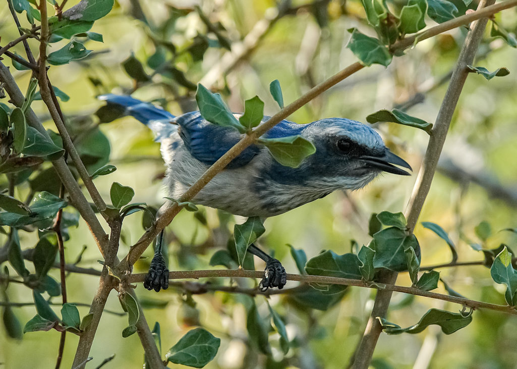 A world of desolation