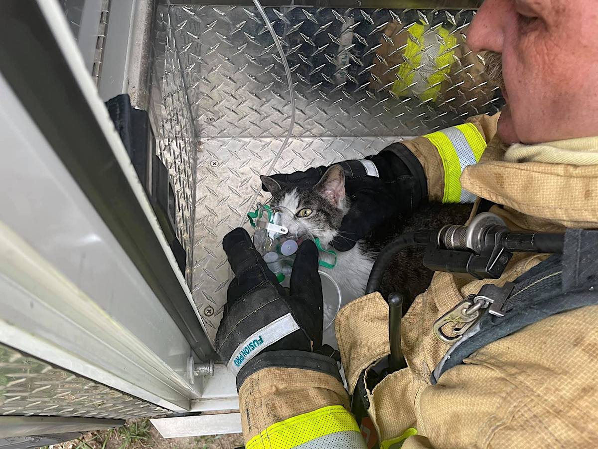 cat singed in fire gets oxygen