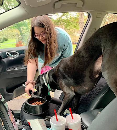 Aurora and Stiles reunited