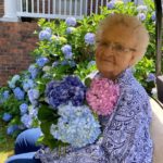 Everything’s coming up hydrangeas for garden contest winner