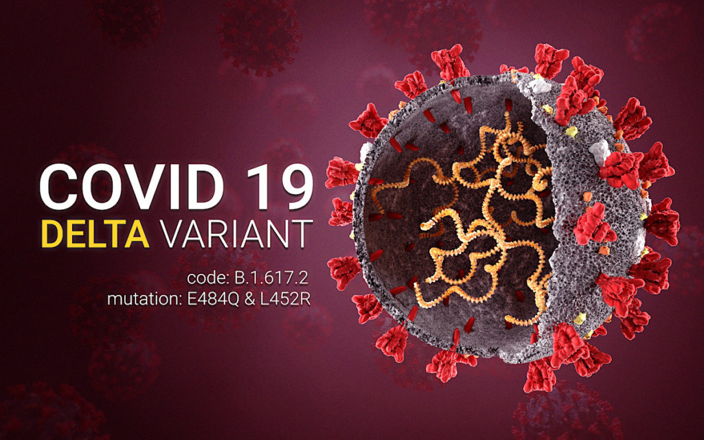Delta variant Q&A