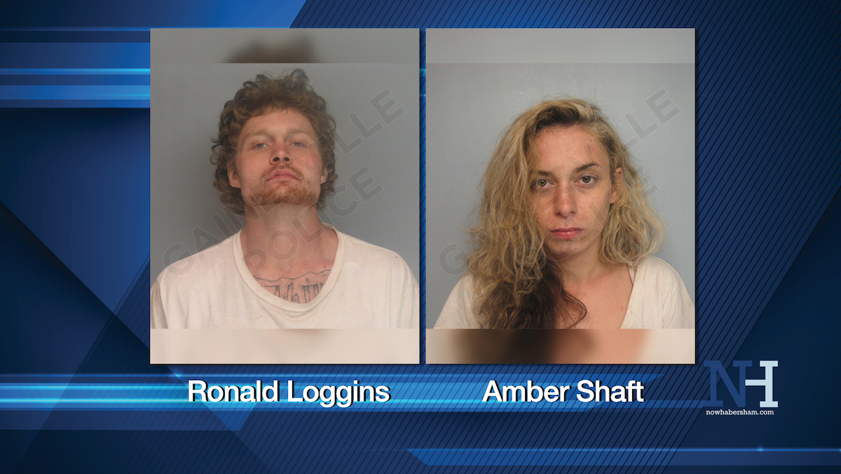 Gainesville suspects