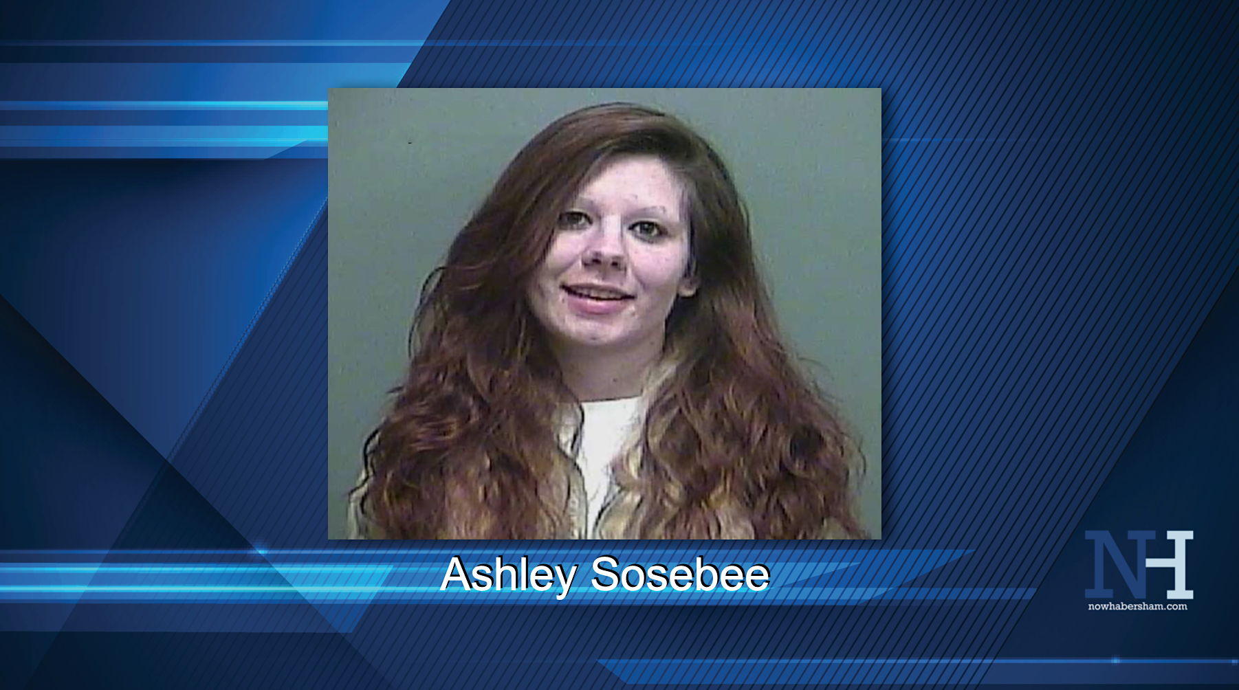Ashley Sosebee mugshot