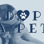 Adopt-A-Pet: Chupacabra and Pogo
