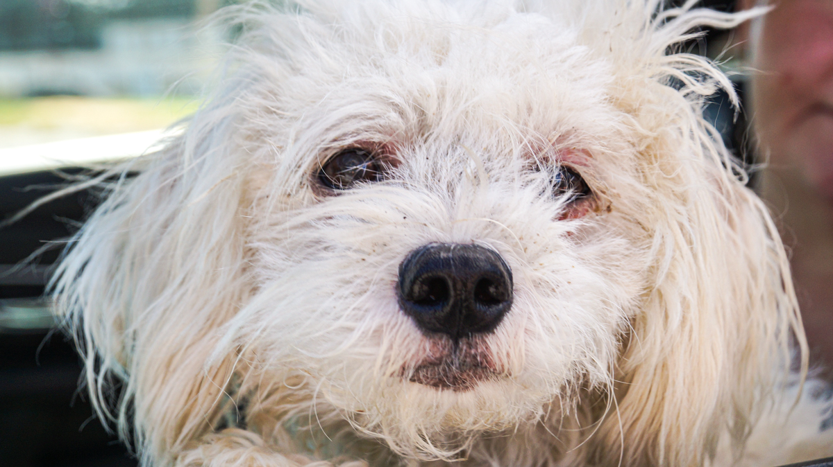 Planned PEThood clinic 10/16